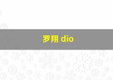 罗翔 dio